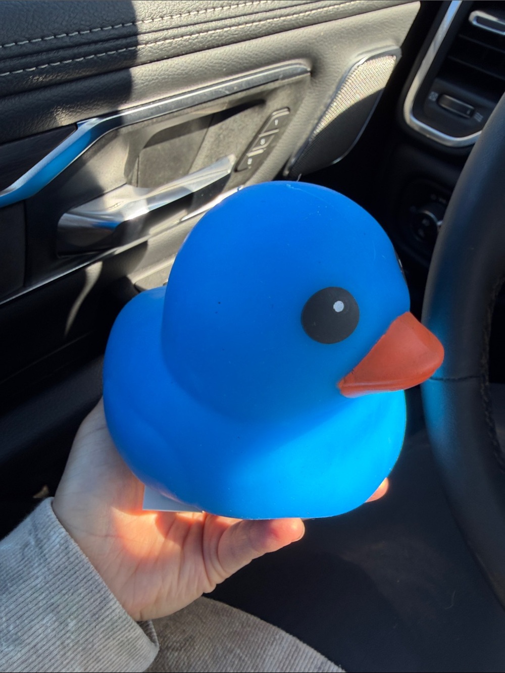 Unbranded Blue Rubber Duck Bird Toy with Orange Beak